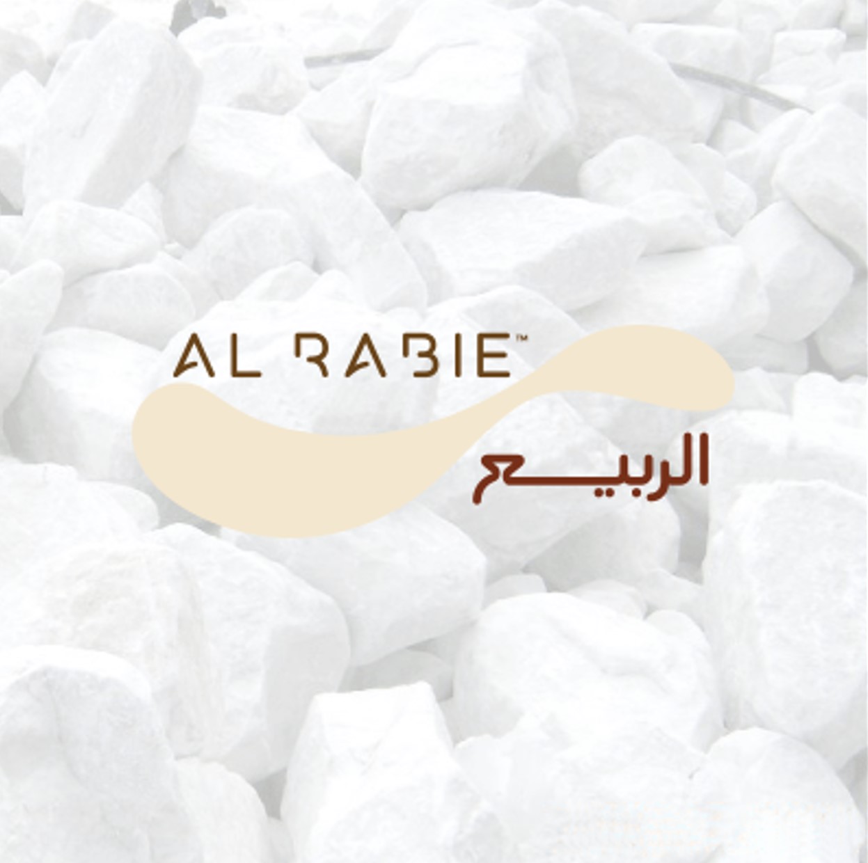 Al Rabie Group